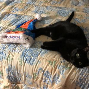 Meet your Posher, Angela m.